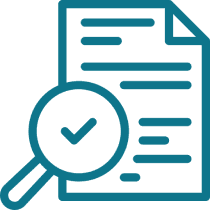 Audit Representation