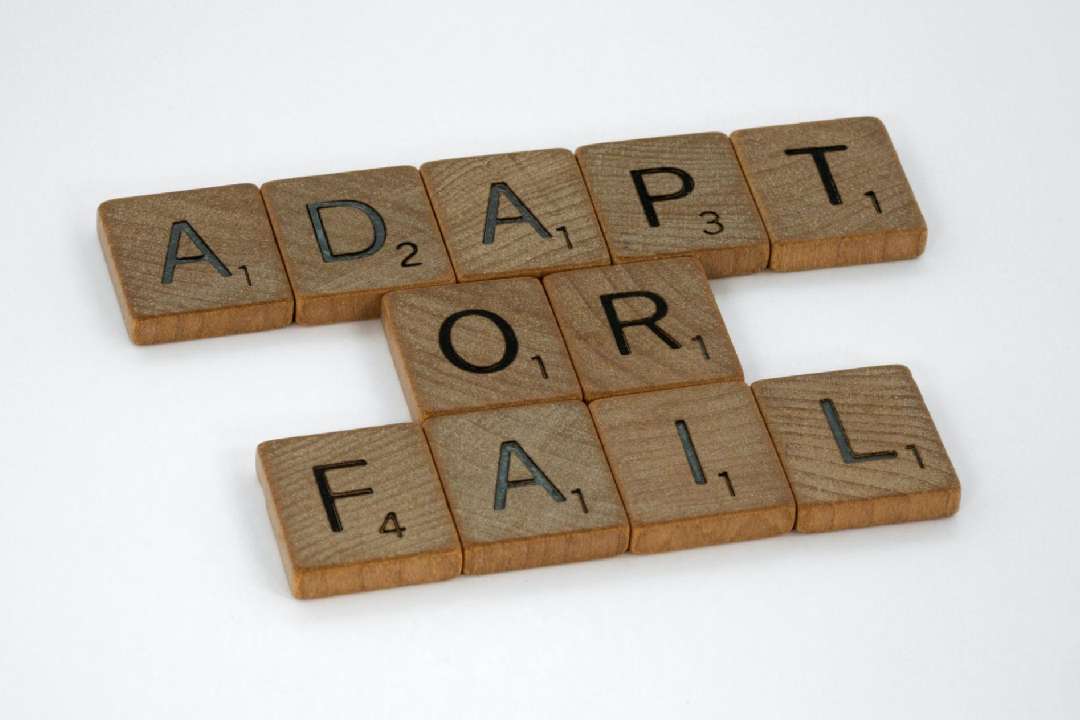 adapting to tax law changes